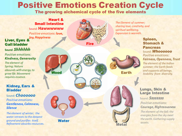 ciclo emociones